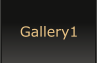 Gallery1