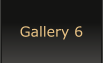 Gallery 6