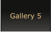 Gallery 5