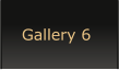 Gallery 6