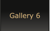 Gallery 6
