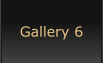 Gallery 6