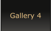 Gallery 4