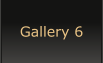 Gallery 6