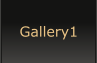 Gallery1