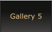 Gallery 5