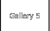 Gallery 5