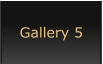 Gallery 5