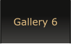 Gallery 6