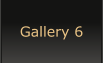 Gallery 6