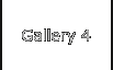 Gallery 4