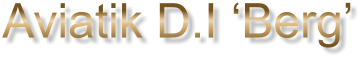 Aviatik D.I ‘Berg’