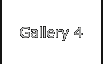 Gallery 4