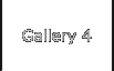 Gallery 4