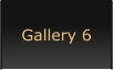 Gallery 6
