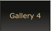 Gallery 4