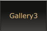 Gallery3