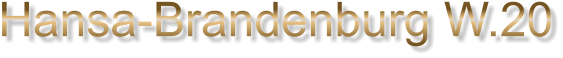 Hansa-Brandenburg W.20
