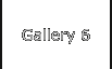 Gallery 6