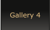 Gallery 4
