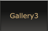 Gallery3
