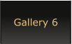 Gallery 6