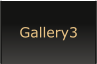 Gallery3