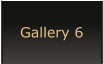 Gallery 6
