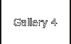 Gallery 4