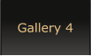 Gallery 4