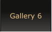 Gallery 6