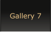 Gallery 7