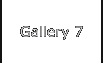 Gallery 7