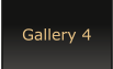 Gallery 4