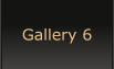 Gallery 6