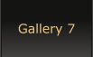 Gallery 7