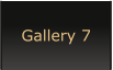 Gallery 7