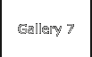 Gallery 7