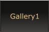 Gallery1