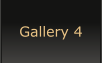 Gallery 4