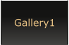 Gallery1