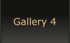 Gallery 4