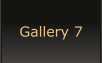 Gallery 7