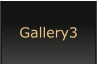 Gallery3