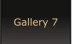 Gallery 7