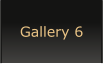 Gallery 6