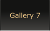 Gallery 7