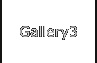 Gallery3