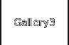 Gallery3