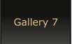 Gallery 7